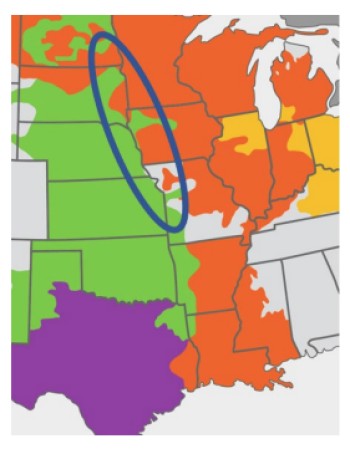 JTIQ_Seams_Map