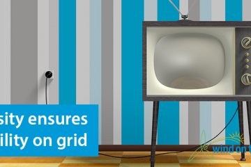 Just Smart: Diversity on our electric grid ensures reliability and low costs