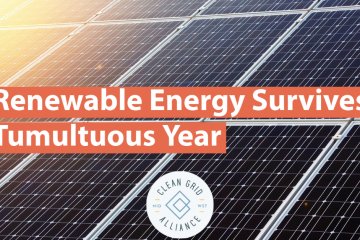 Renewable Energy Survives Tumultuous Year