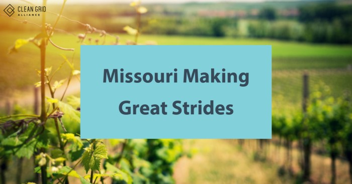 Missouri Making Great Strides