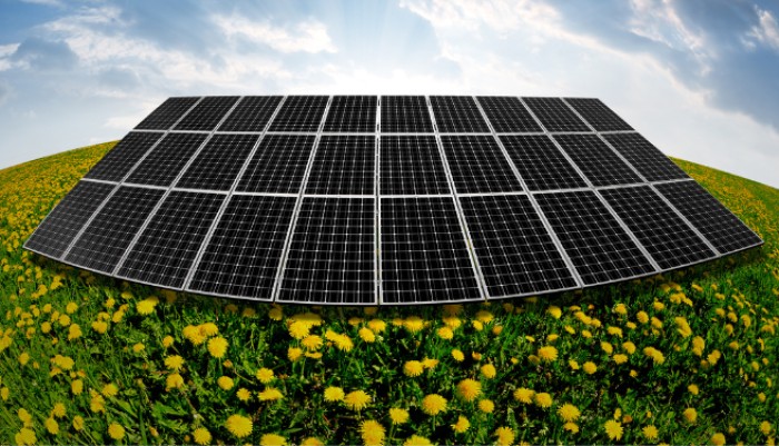 Co-Locating Solar Farms with Crops and Pollinators is a Win-Win