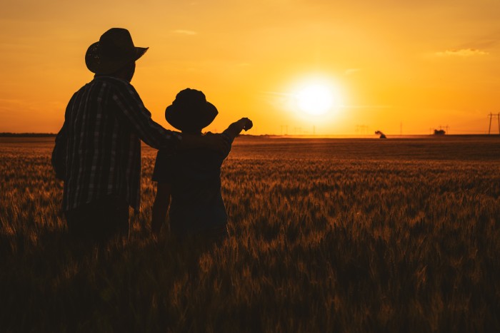 3 Ways Solar and Agriculture Work Together