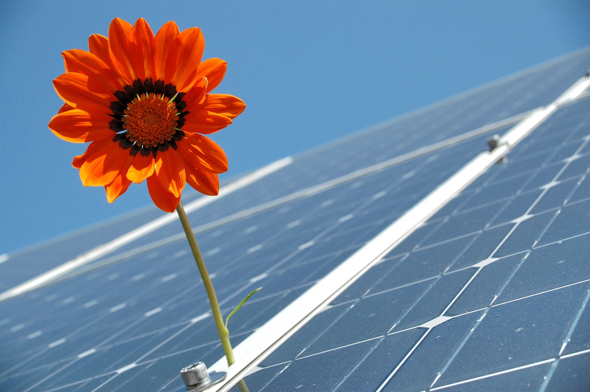 Solar
